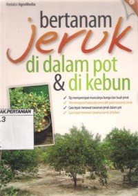 Bertanam Jeruk di dalam Pot dan di Kebun