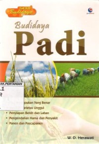 Budidaya Padi